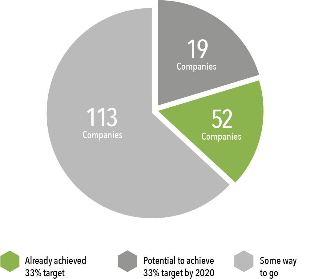 Executive Committee and Direct Reports - FTSE 250 - Progress to Date – 2019-v2